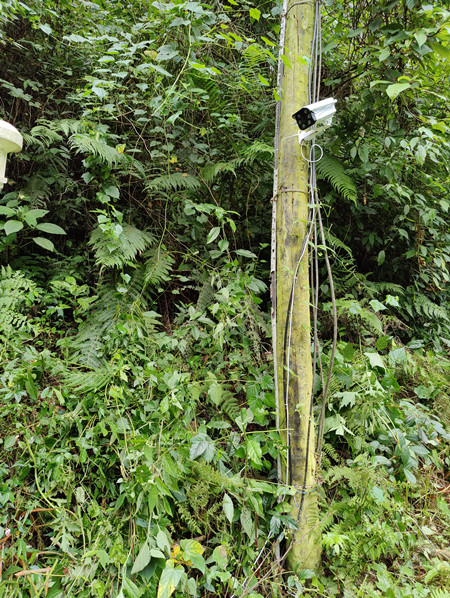 成都萬(wàn)全電子|萬(wàn)全電子|成都高溫橙色預(yù)警|戶(hù)外監(jiān)控?cái)z像頭安裝