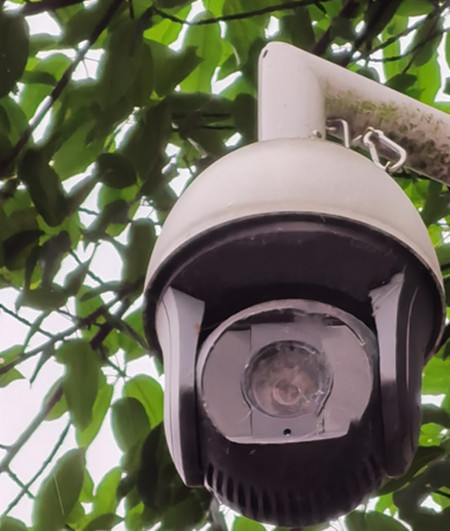 AI視頻聯(lián)網(wǎng)報警系統(tǒng)提示：湖景雖美，但請遠離堤岸|峨眉山|峨秀湖|戶外監(jiān)控球機