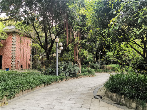 地下停車場(chǎng)、大型倉庫，如何解決大場(chǎng)景下的監(jiān)控需求