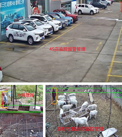 無(wú)電無(wú)網(wǎng)少人煙的野外，還想裝監(jiān)控系統(tǒng)？這不是空想