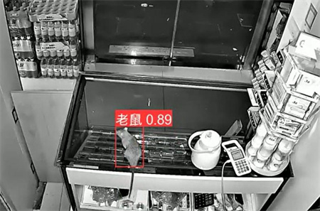 AI視頻監(jiān)控能拍到老鼠？老鼠監(jiān)控算法說可以