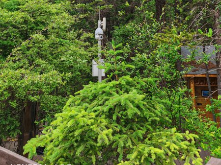 夏季來臨，AI視頻監(jiān)控新防下水算法解決管理難題