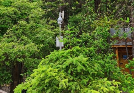 風景區(qū)內AI視頻分析報警系統(tǒng)有用嗎