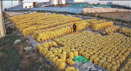  AI智能視頻監(jiān)控：革新安全管理，賦能多領(lǐng)域?qū)嶋H應(yīng)用